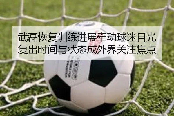 武磊恢复训练进展牵动球迷目光 复出时间与状态成外界关注焦点